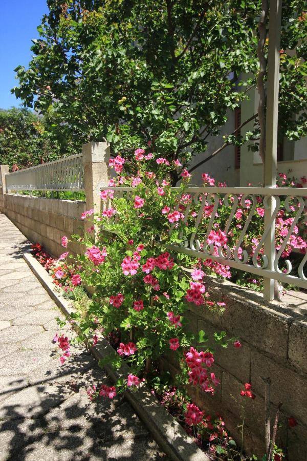 Apartments With A Parking Space Orebic, Peljesac - 10159 Екстериор снимка