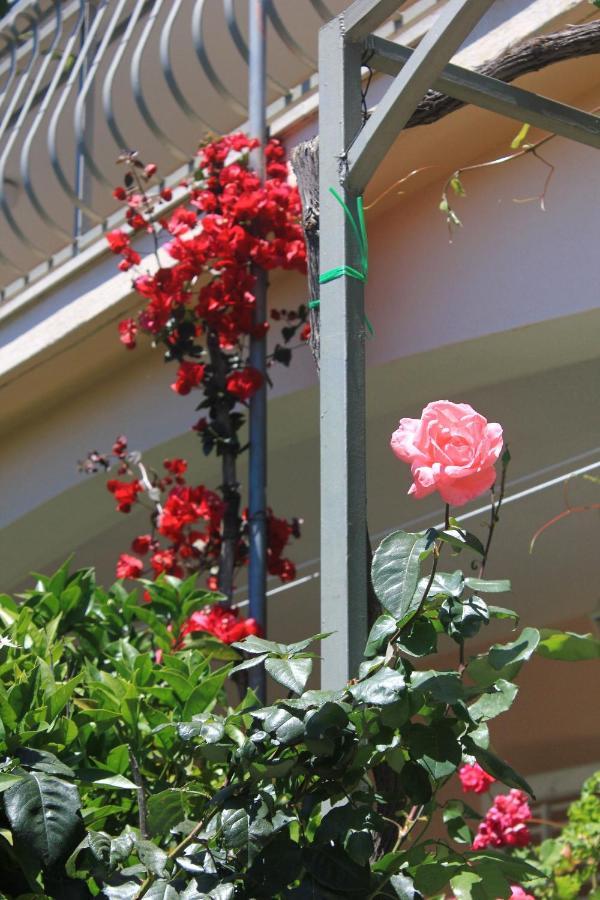 Apartments With A Parking Space Orebic, Peljesac - 10159 Екстериор снимка